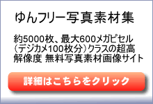 ���t���[�摜�U